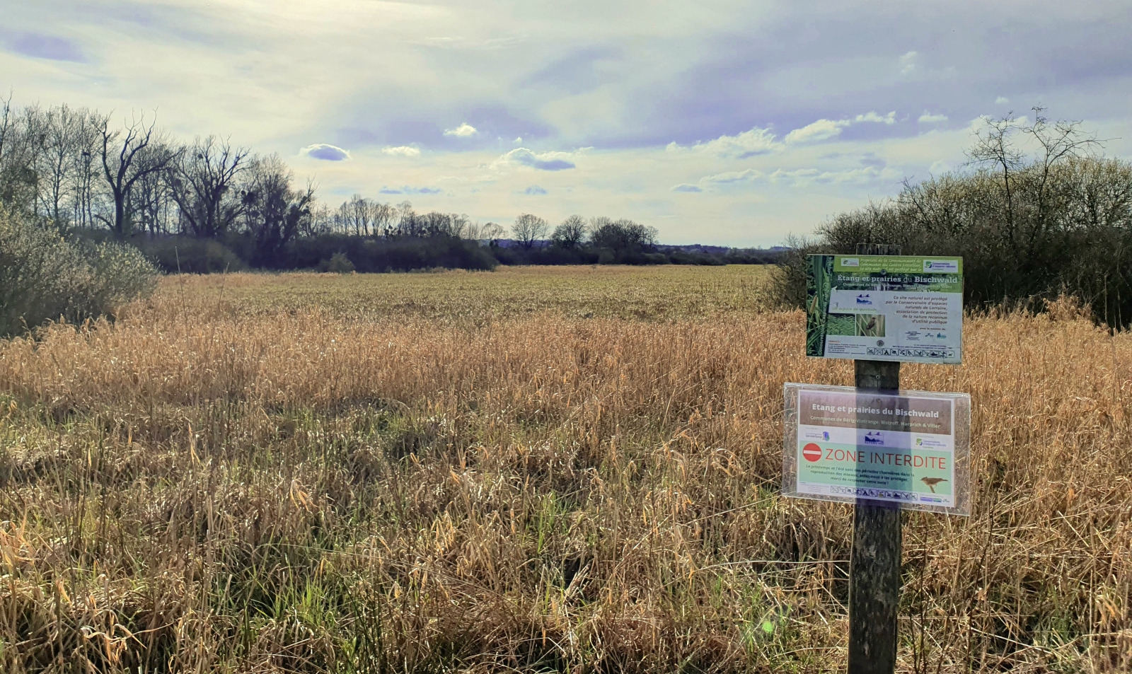 Image Natura 2000 : Animation