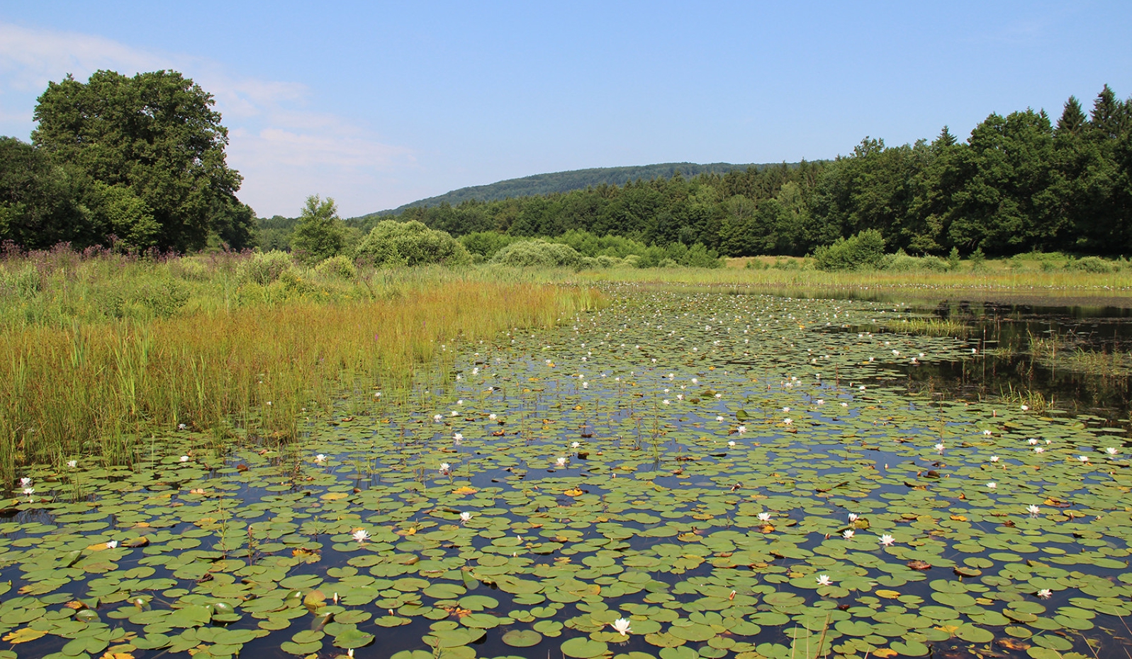 Image Protection Maîtrise Foncière