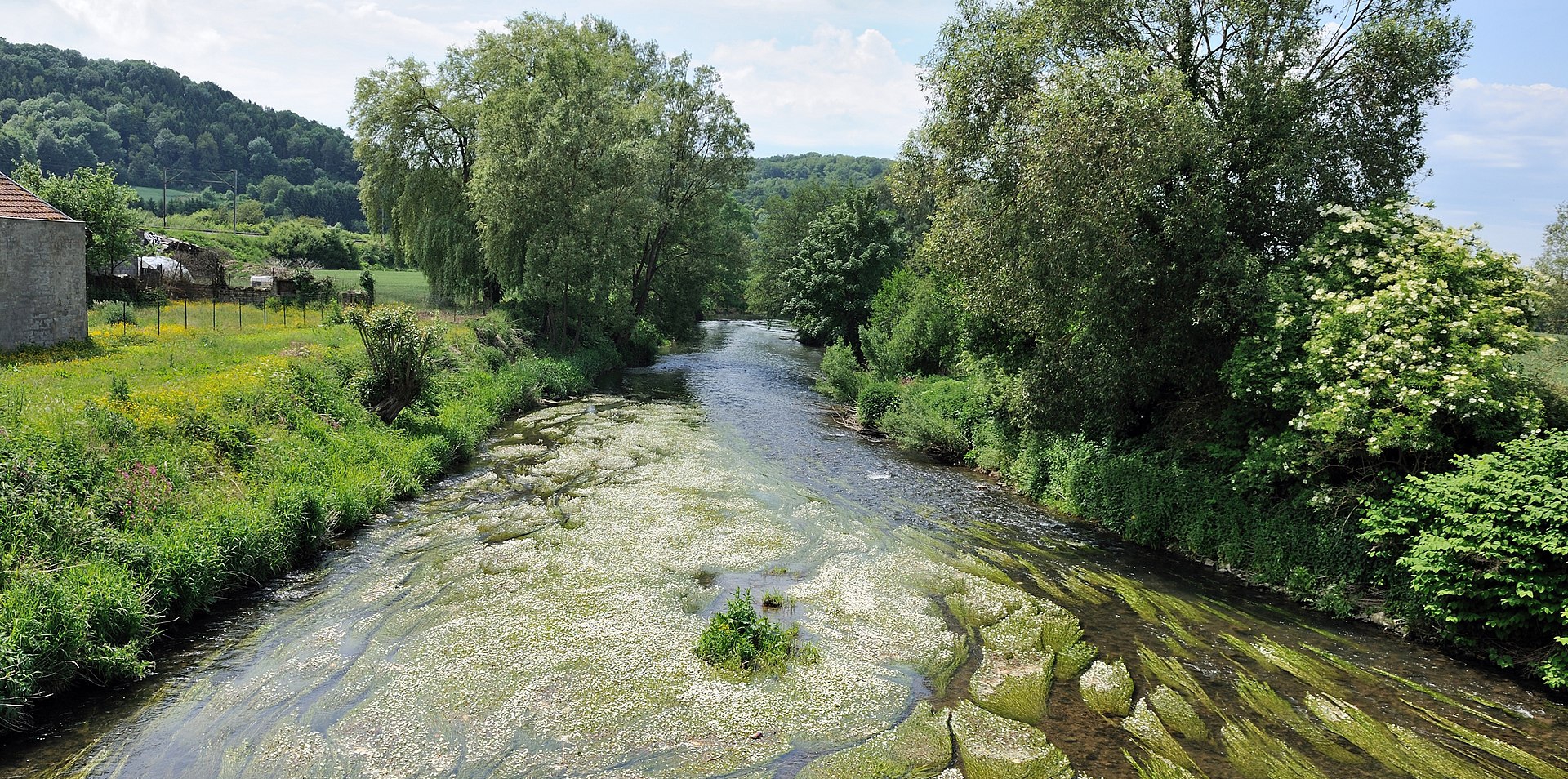 Image AMI Chiers Année 2