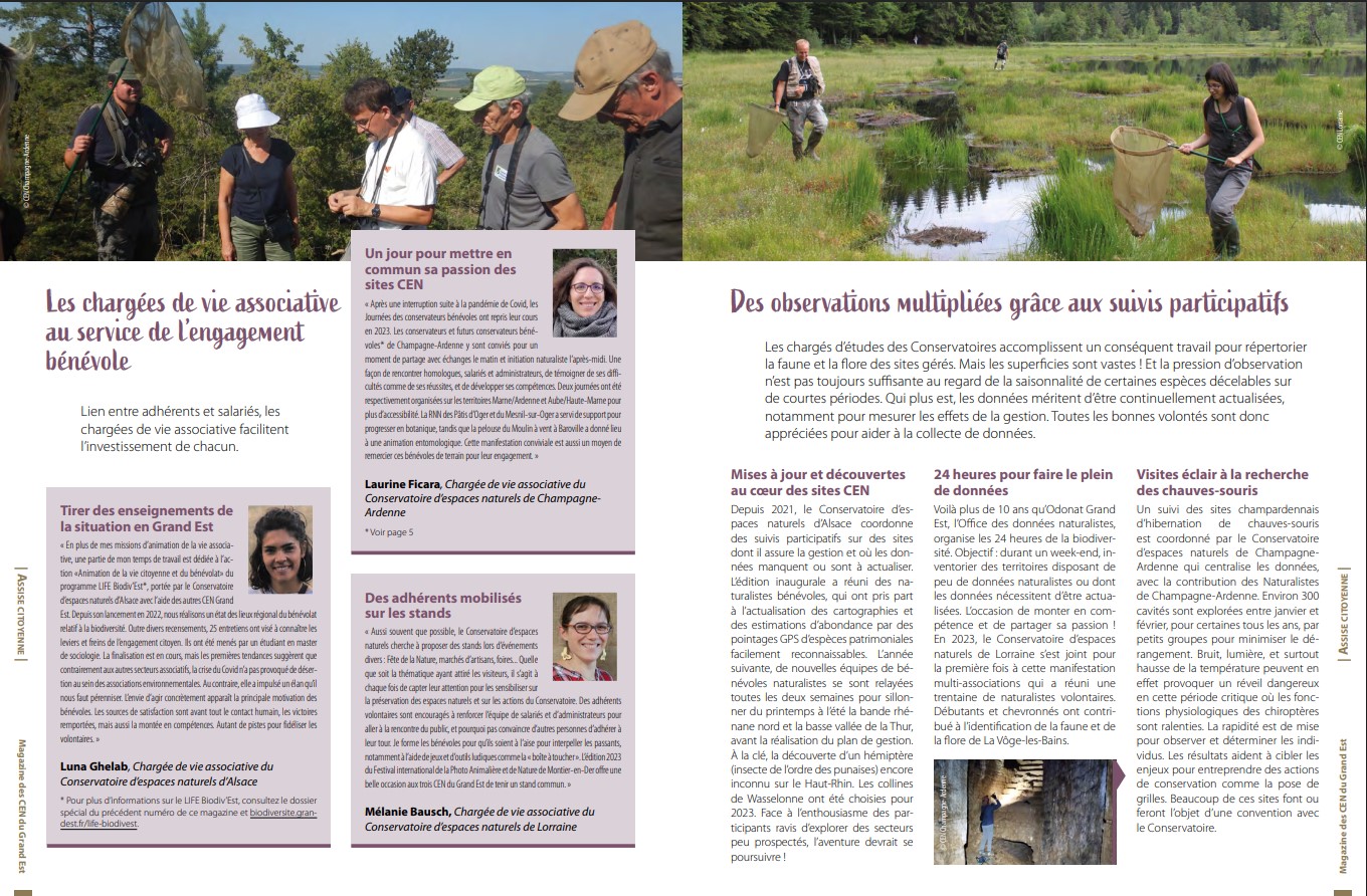 Image Communication editoriale