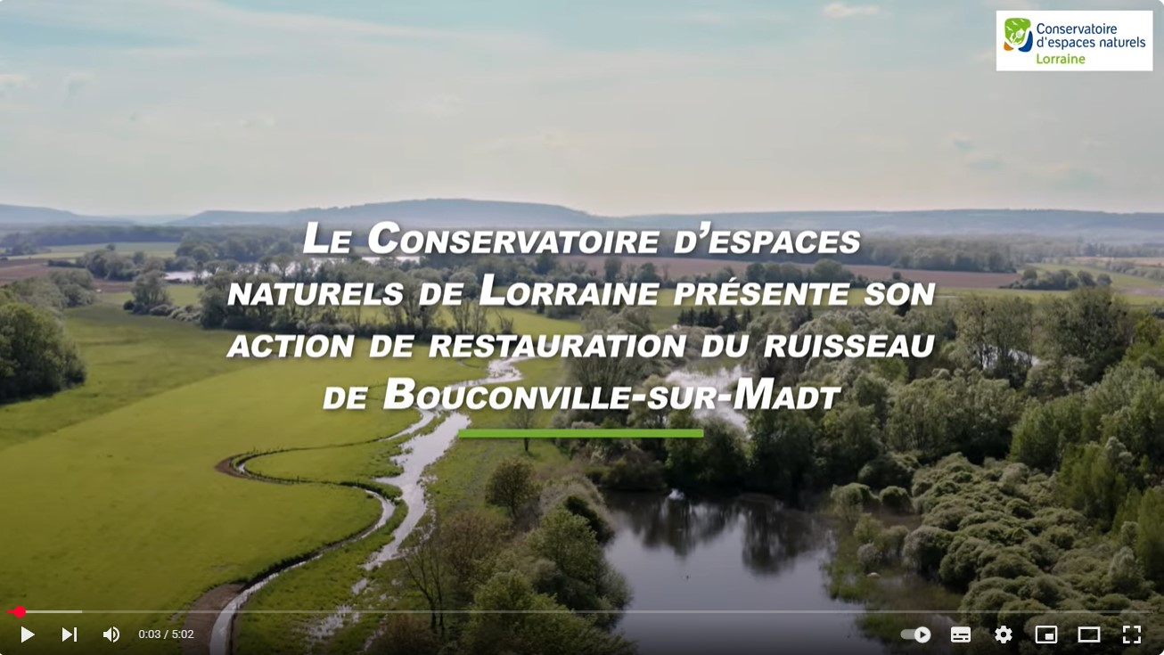 Image Montage et suivi de projets de restauration Zones humides