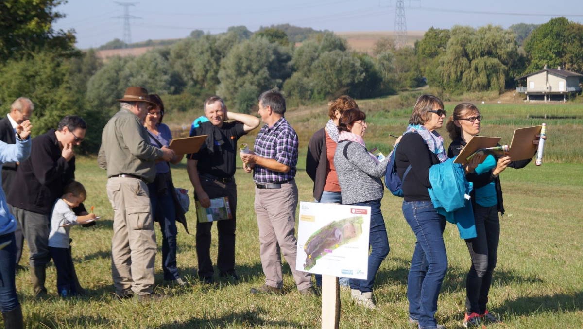 Image Sensibilisation des élus et des professionnels