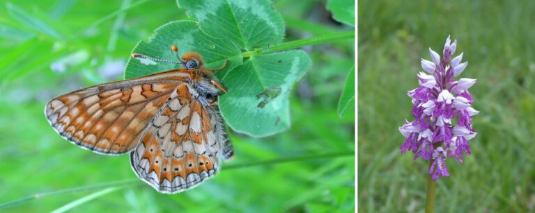 Image Contrats Natura 2000